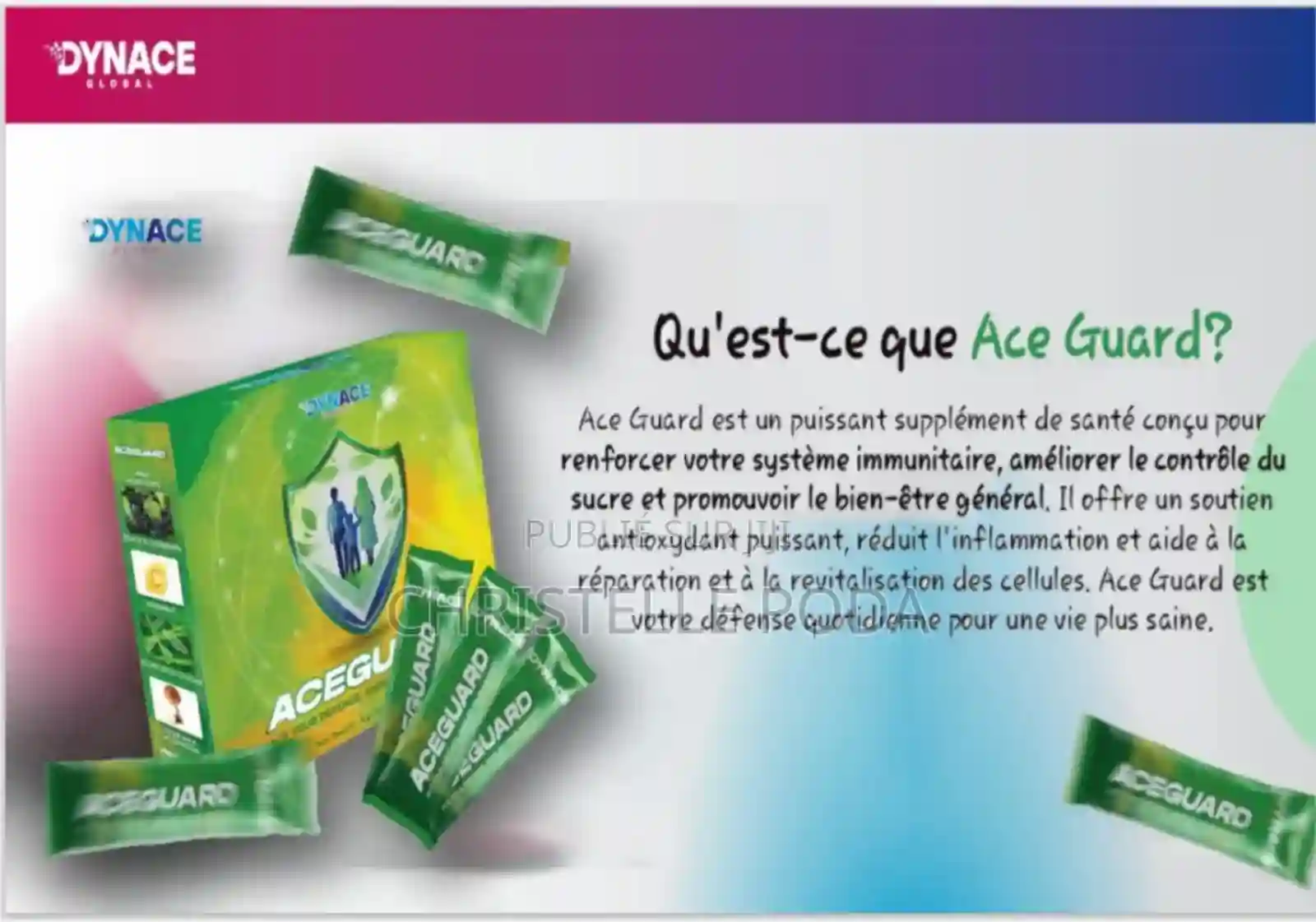 Aceguard Dynace Global - Vue 5