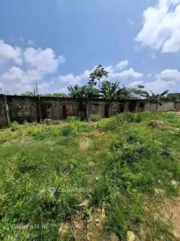 Terrain 630m2-cocody Angre Nouveau Chu - Vue 4