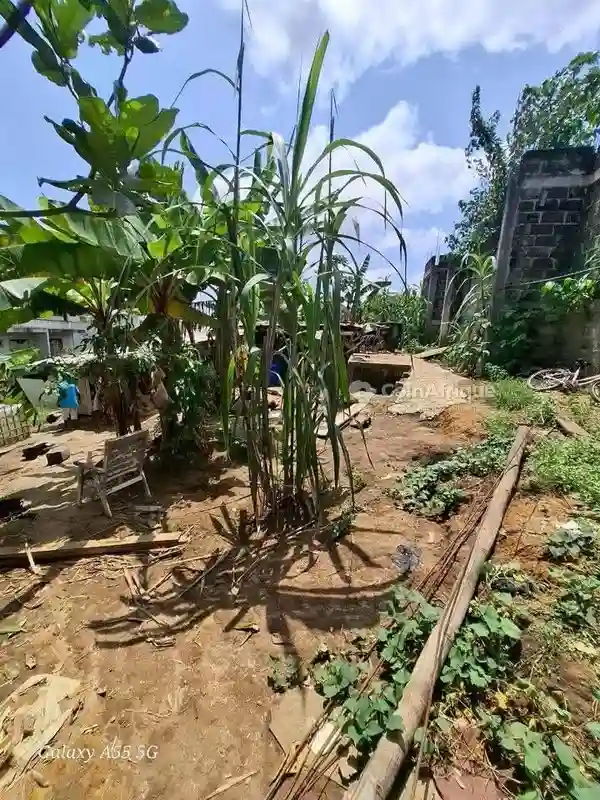 Terrain 630m2-cocody Angre Nouveau Chu - Vue 5