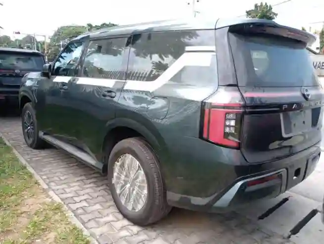 Nissan Patrol Platinum - Vue 4