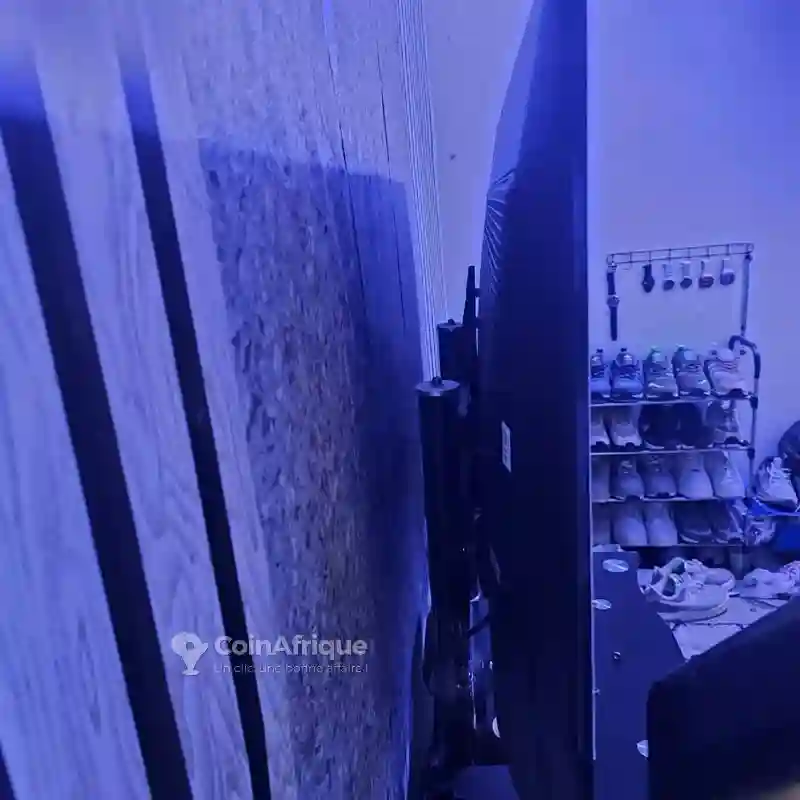 Smart TV TCL 55&quot - Vue 2