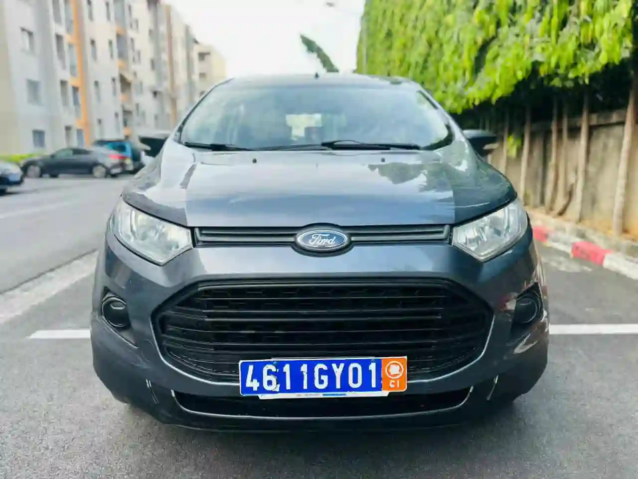 Ford Ecosport en vente 