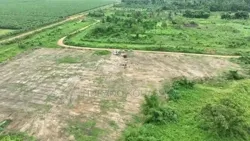 Promo Terrain Jacqueville