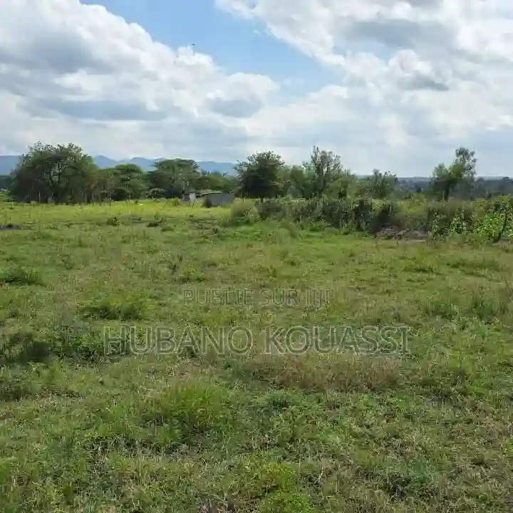 Promo Terrain Jacqueville - Vue 1