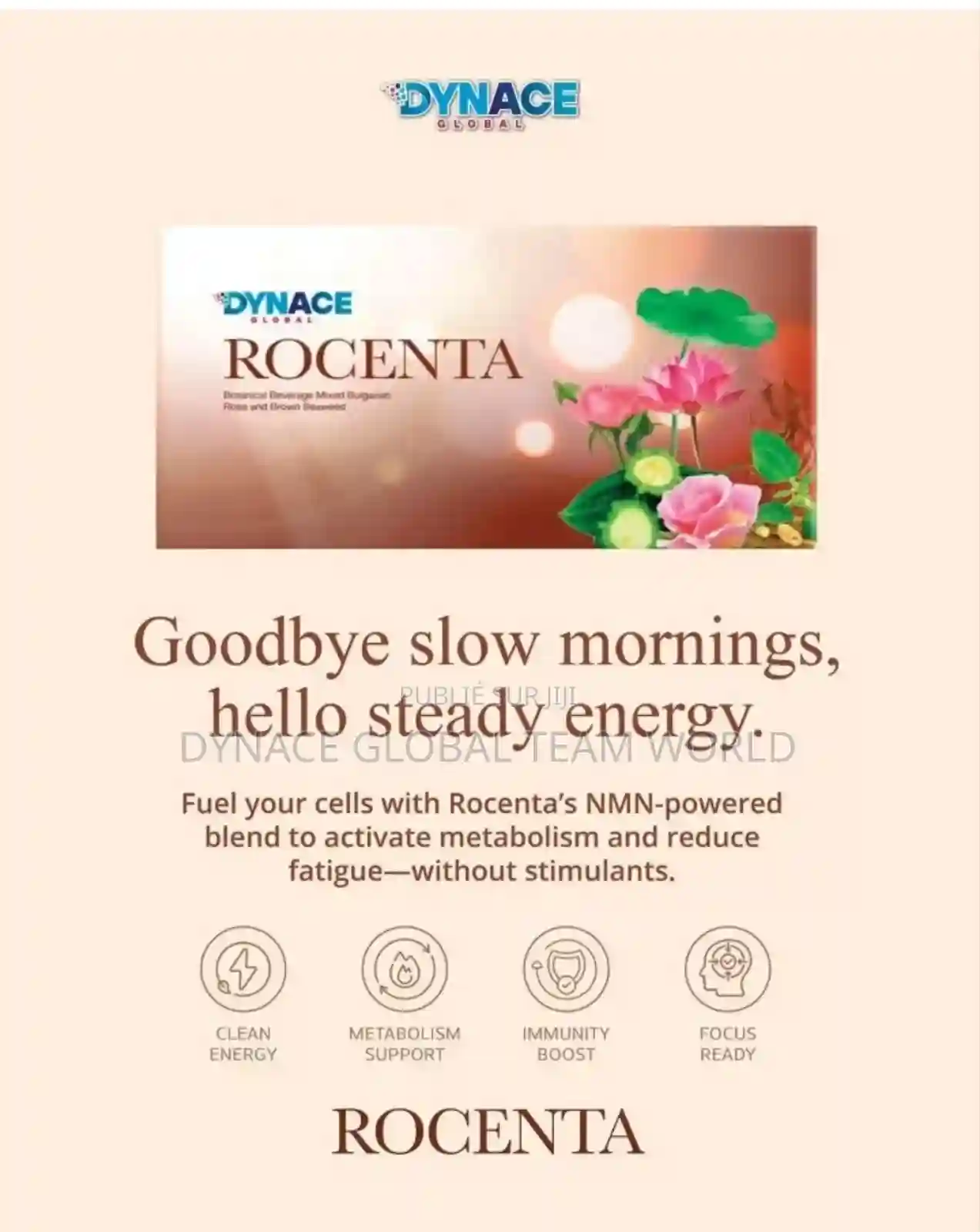 Rocenta De Dynace - Vue 4