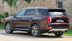 Hyundai Palissade 2020 Marron