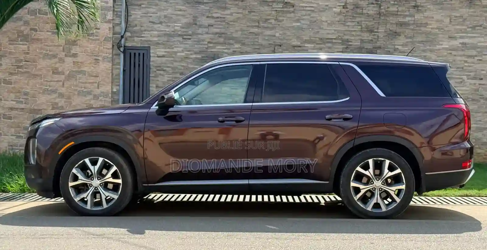 Hyundai Palissade 2020 Marron - Vue 5