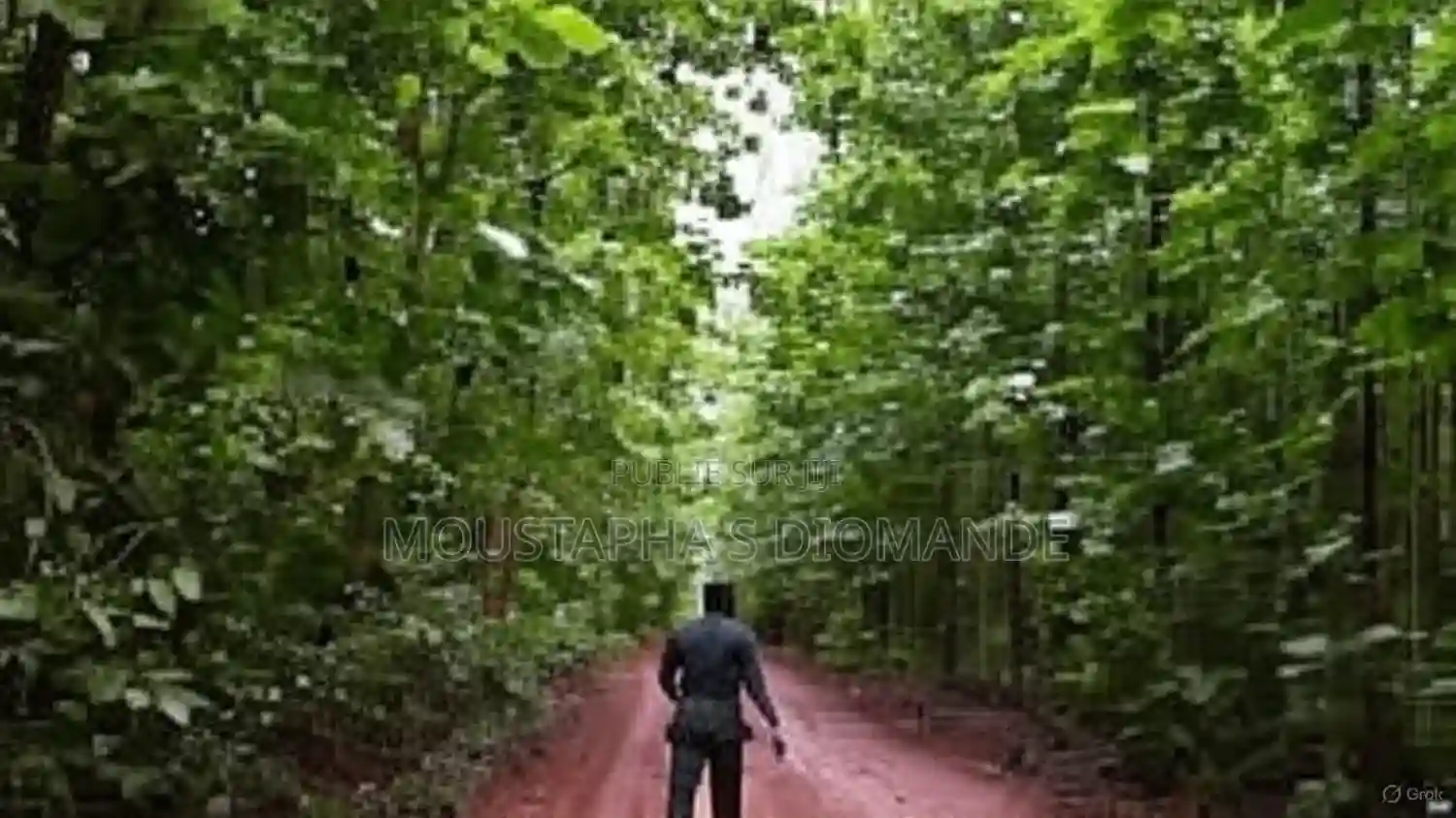 Forêt À Vendre - Vue 1