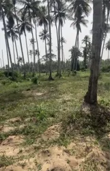 Terrain Disponible À Jacqueville