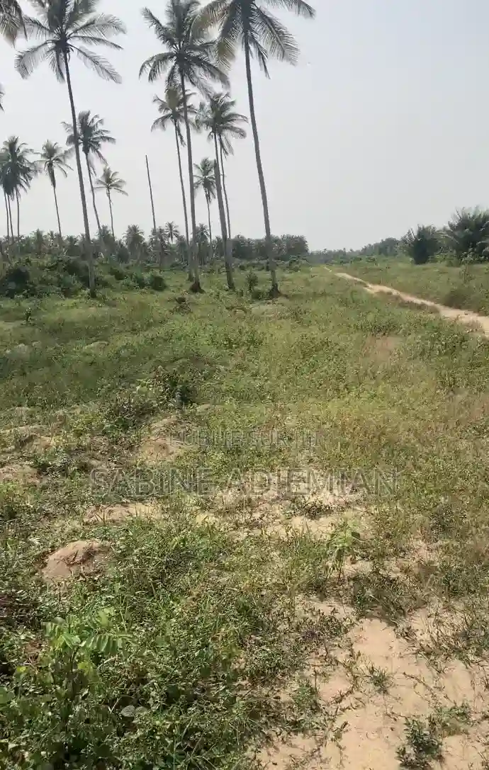 Terrain Disponible À Jacqueville - Vue 1