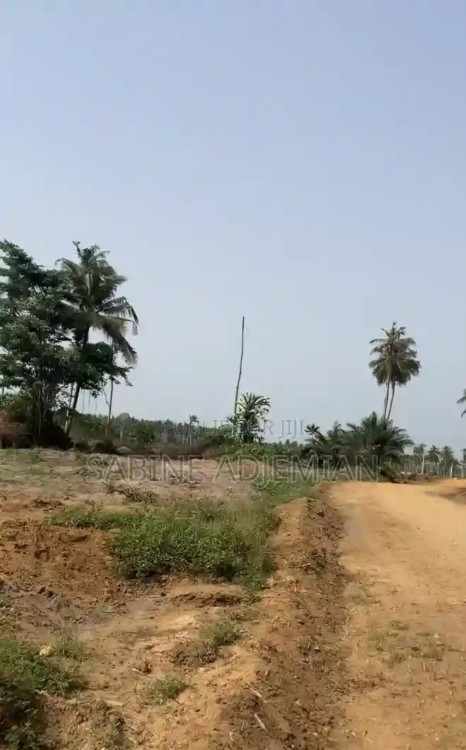 Terrain Disponible À Jacqueville - Vue 2