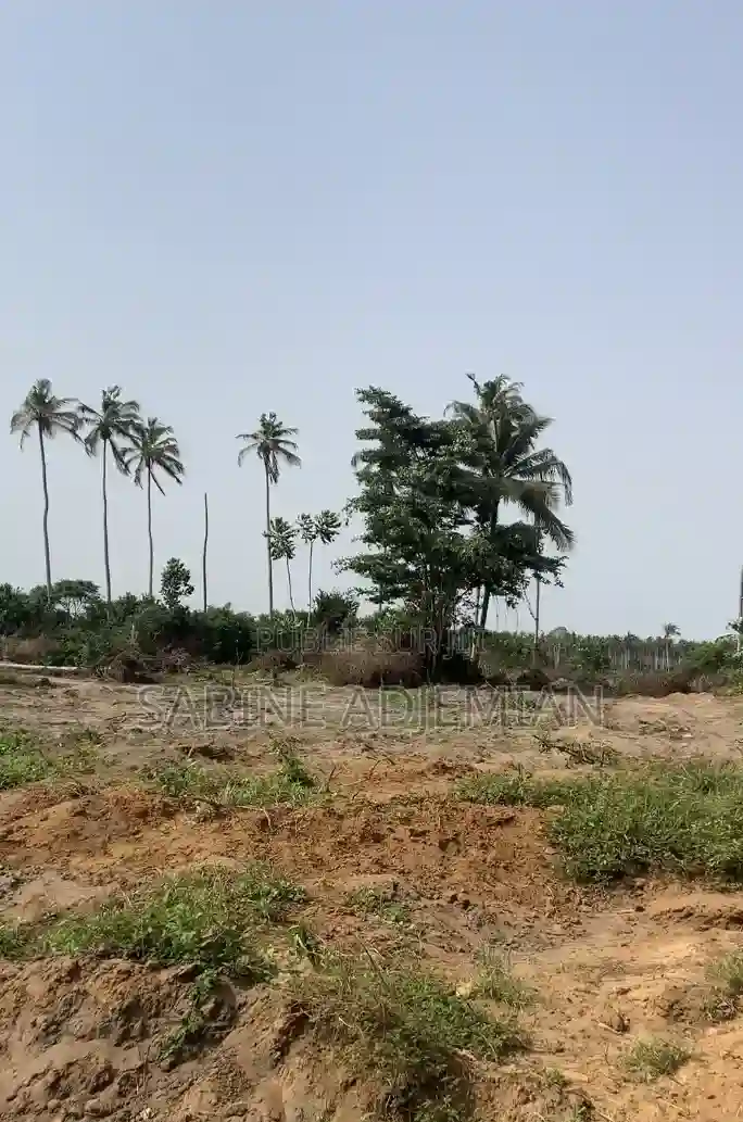 Terrain Disponible À Jacqueville - Vue 3