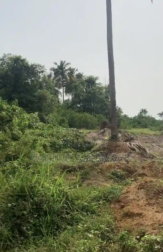 Terrain Disponible À Jacqueville - Vue 4