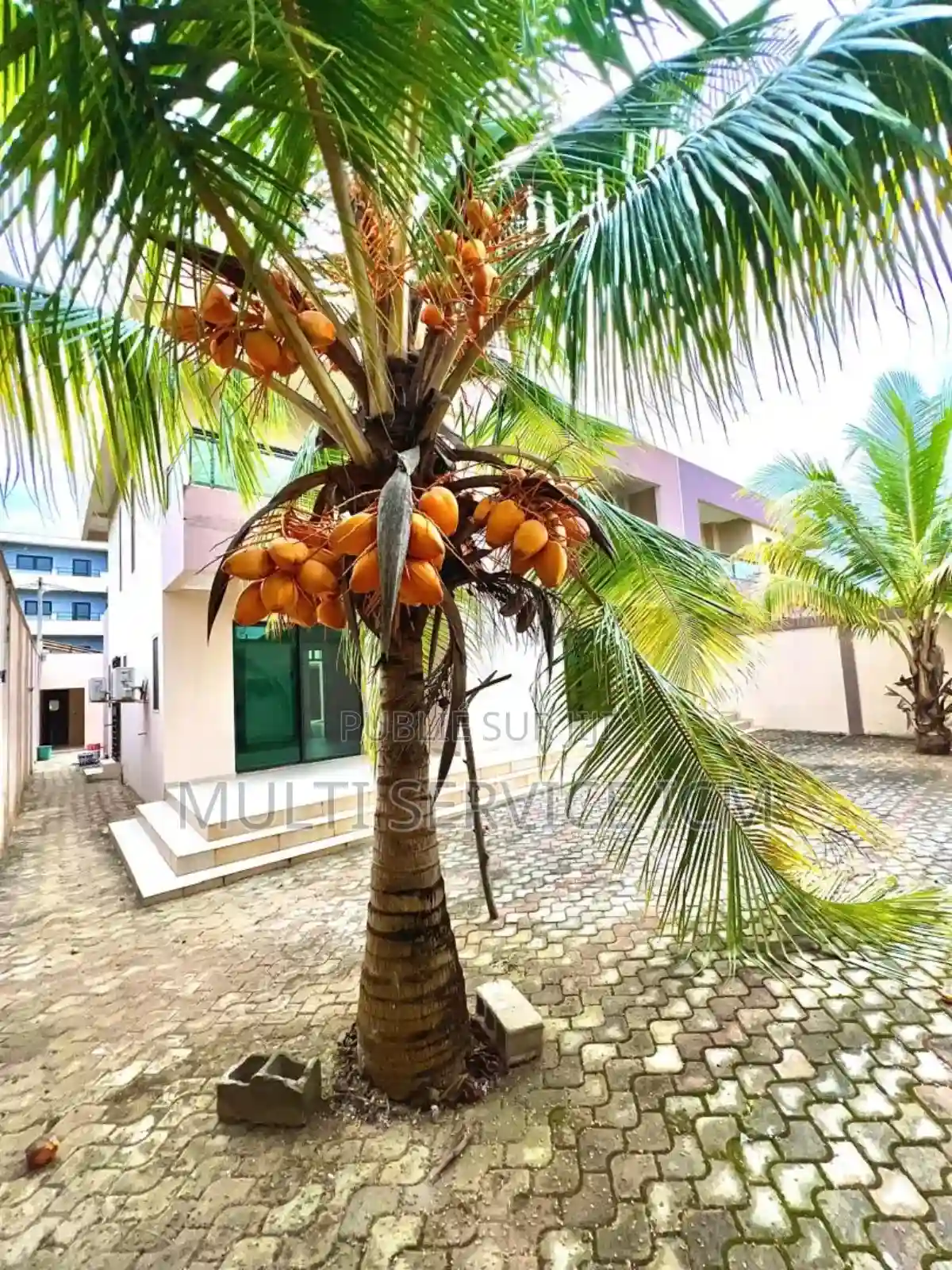 4chbre Duplex Dans Ismaël Coulibaly Grand-bassam à Vendre - Vue 6