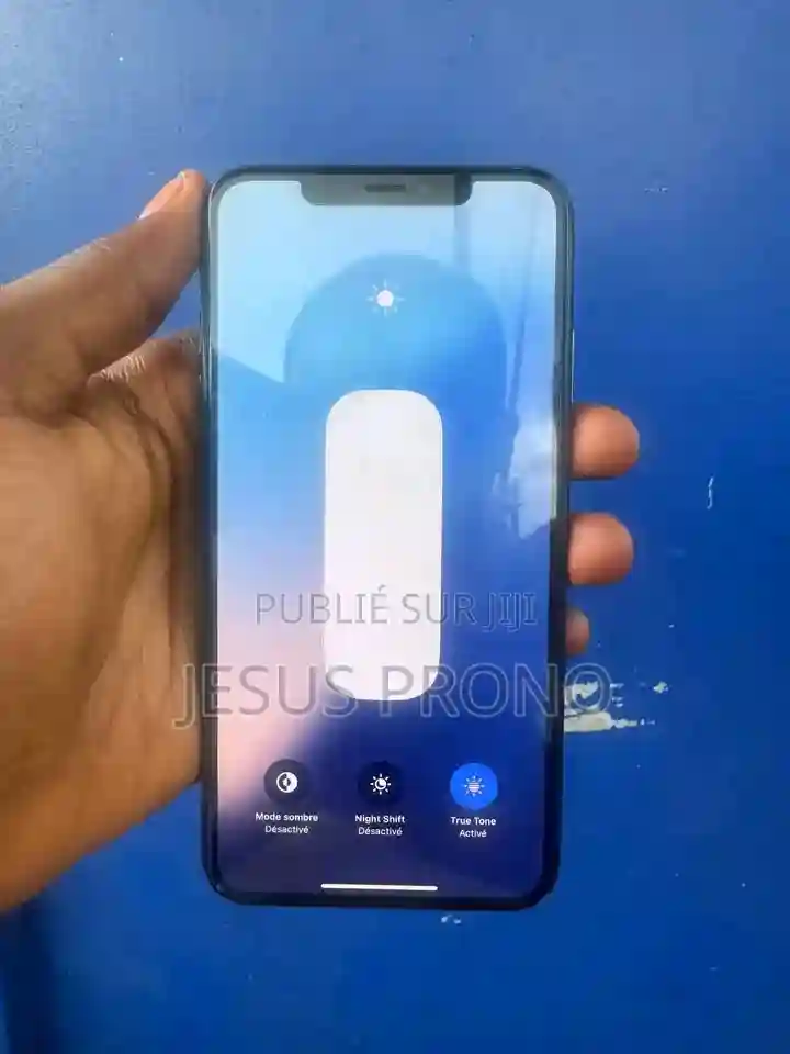 Apple Iphone XS Max 256 GB Black - Vue 2