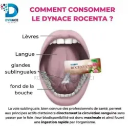 Rocenta Ultime Solution De L'an Régénération Cellulaire