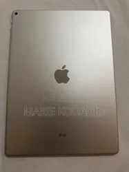 Apple Ipad Pro 256 GO Argenté