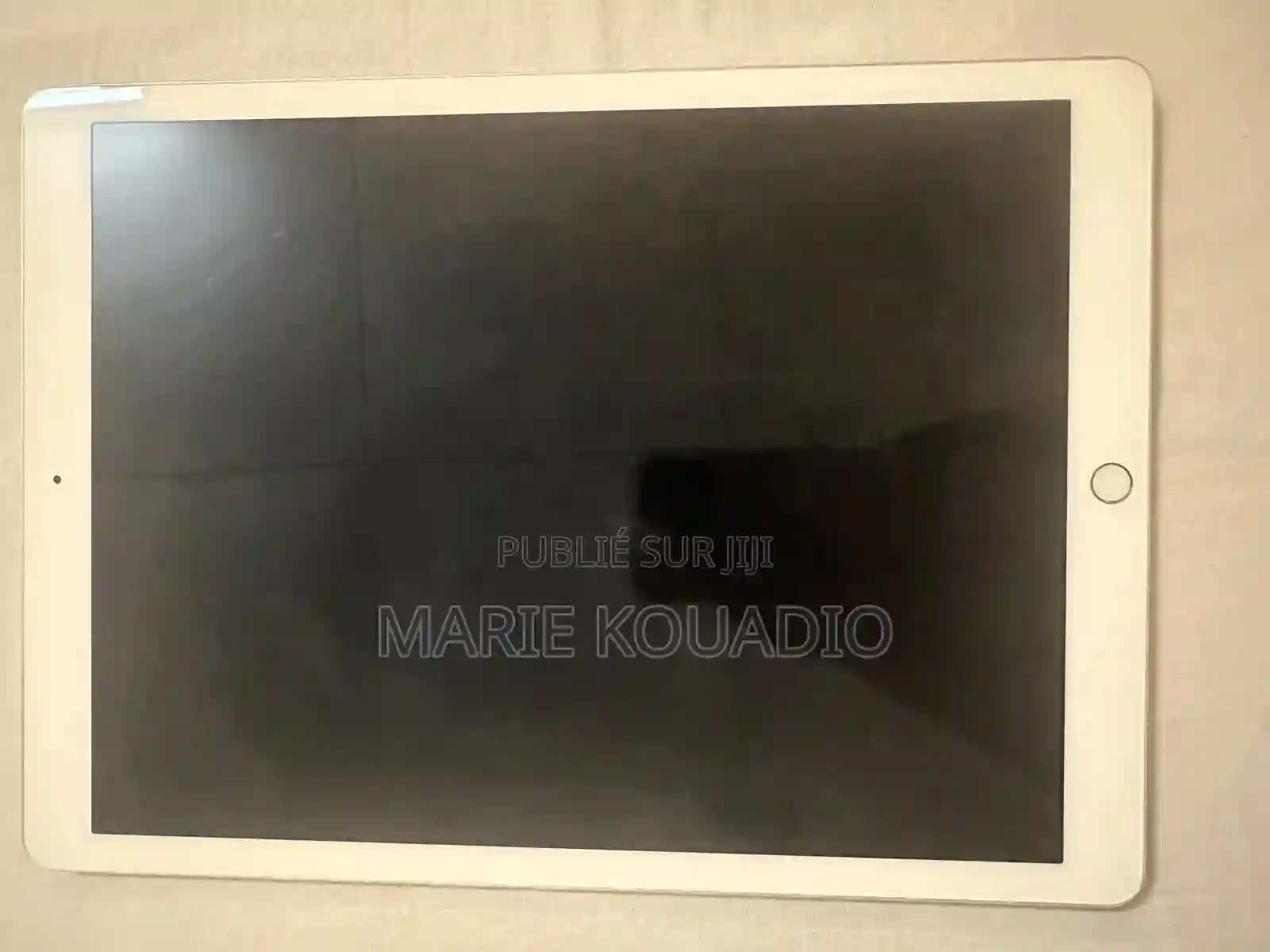 Apple Ipad Pro 256 GO Argenté - Vue 1