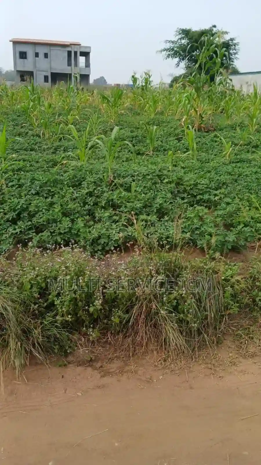 Terrain a Vendre Songon - Vue 2