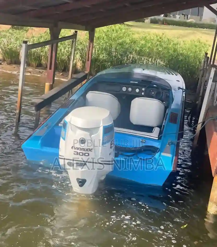 Bateau Debo Coque Rallonger Moteur 300cv Evinrude - Vue 1