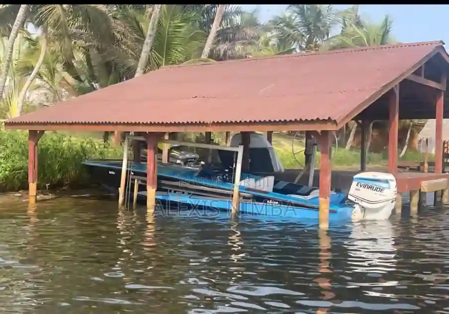 Bateau Debo Coque Rallonger Moteur 300cv Evinrude - Vue 2