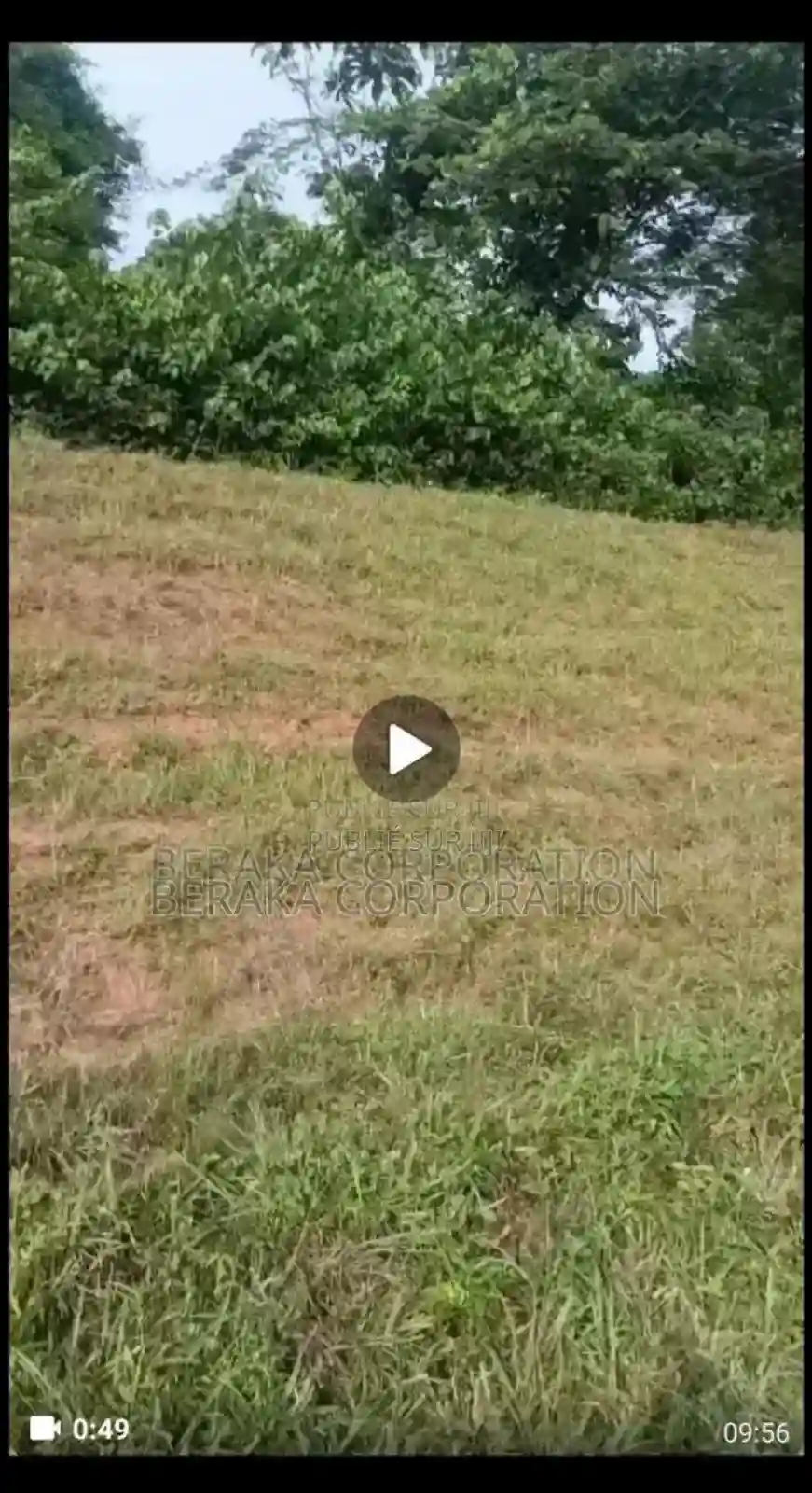 Parcelle De 7 Hectares en Vente en Bordure Du Bitume - Vue 2