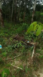 Vente Et Location De Lots