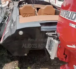 Coque Bateau D'origine Debo Deux Bouche Vendu en Côte D’ivoire