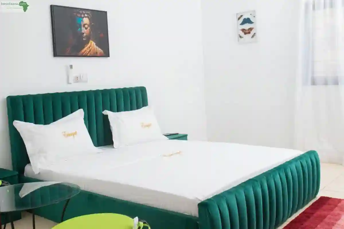 Appartements Meubles Studio-02 P A Bingervi - Vue 1