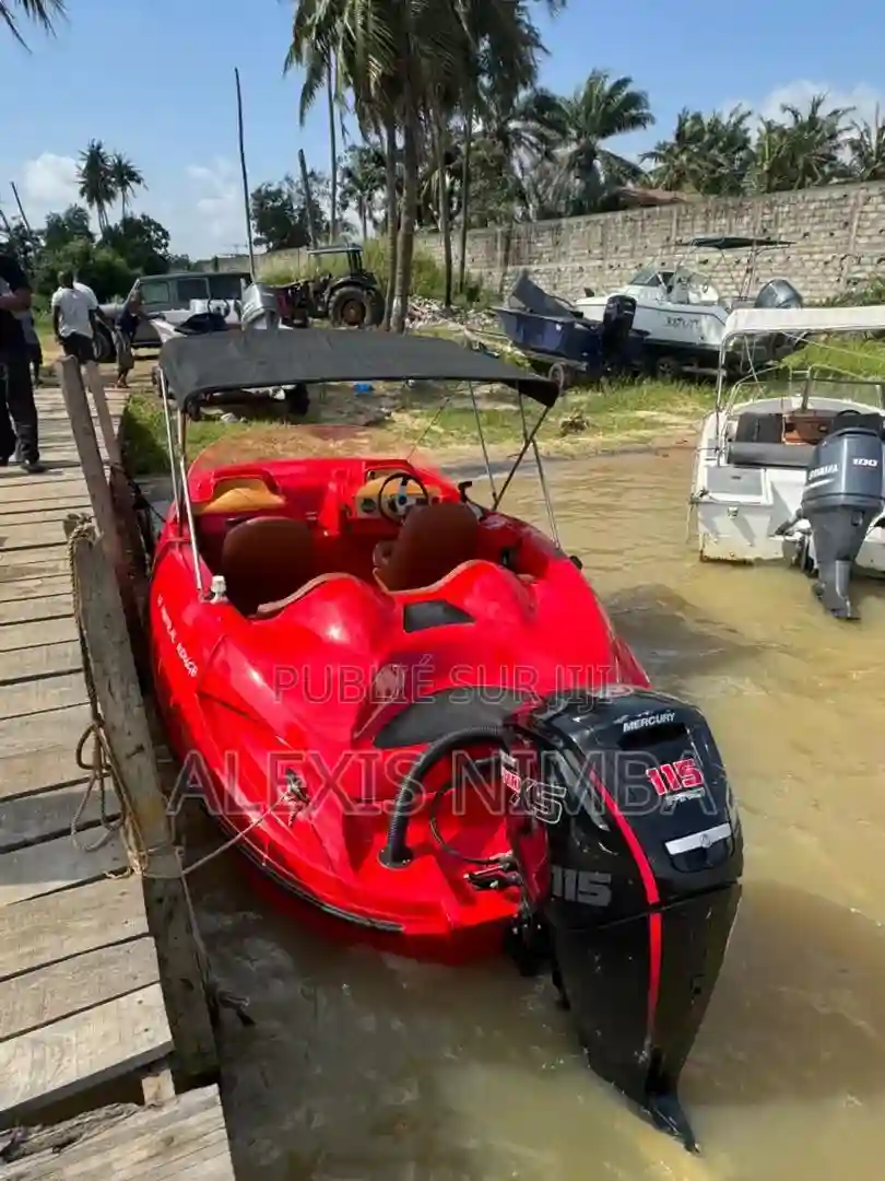 Bateau en Polyester Moteur Mercury 115cv - Vue 2