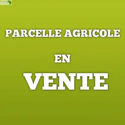Parcelle Agricole EN Vente