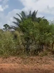 Terrain À Vendre À N’douci