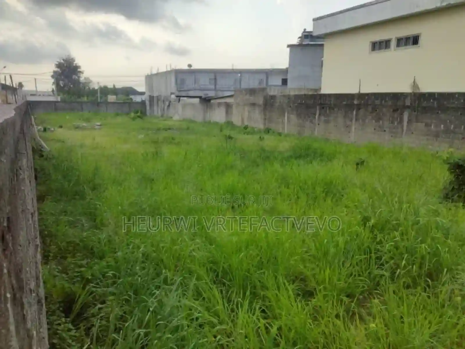 Terrain en Vente À Cocody Angre 8e Tranche - Vue 4