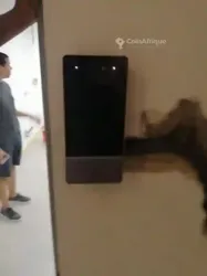 Système de Visiophone