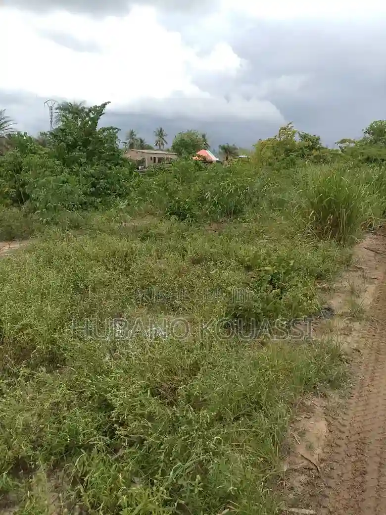 Terrain Dabou - Vue 1