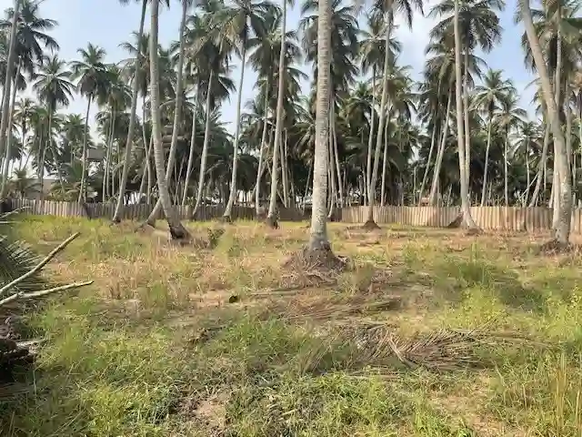 terrain à Mohame
