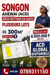 Terrain 300m2 - Songon Ahewai