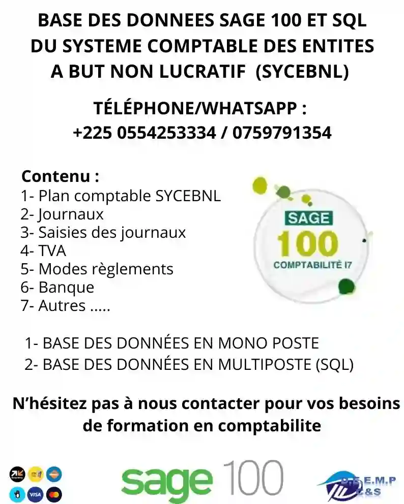 BASE DES DONNEES SAGE 100 COMPTABILITE SYCEBNL (ONG, OSC, Projets...)