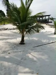 Île-boulay Une Superficie De 7900 M2 + Une Auberge De 4 Pièces