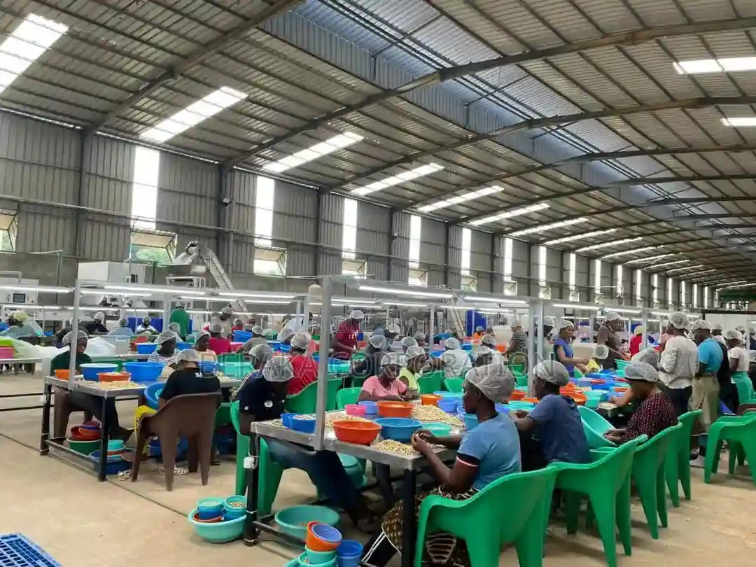 Usine D’anacade Activité - Possède Une Usine De Transform - Vue 2