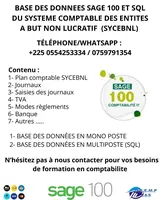 FICHIER OPERATIONNELLE DE SAGE 100 COMPTABILITE SYCEBNL à Abidjan